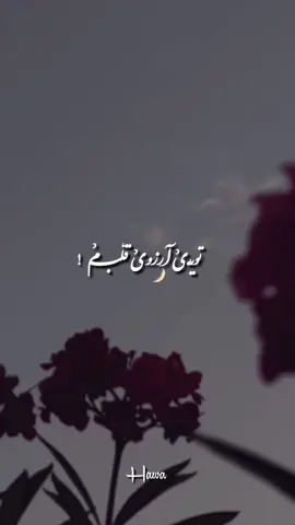 #lyrics_songs #foryoupage #100k #غمگین #عاشقانه توُیے آرزوی قلـبم زتمامࣿ زندگانی 🖤بفرست برش