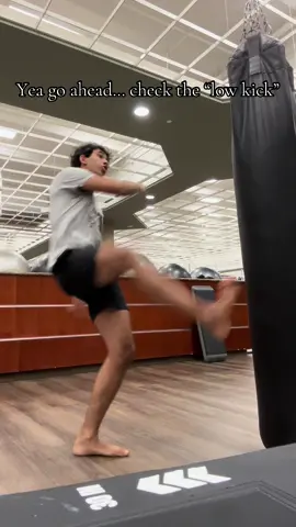 Kicks are sounding like whips #kicks #mma #training #questionmark 