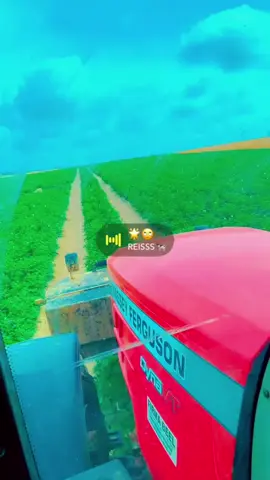 Tous ses moments si uniques partagés à chaque fois avec vous !  Ce ne sont pas les tracteurs, ni les machines qui font que c’est moments sont uniques. Mais les personnes qui sont là à travailler dur et qui font vivre tous ces moments incroyable !🚜🥔🇫🇷🇧🇪  Merci Agrinys❤️ #sarlagrinys #patato🥔🇧🇪 #agrinys🇫🇷🇧🇪 