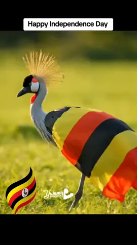 Happy Independence Day Uganda 