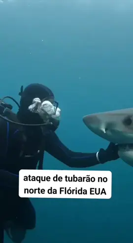 ataque de tubarão no norte da Flórida EUA equipes de resgate não tem notícias dos vestígios!!! . . . . . . . . #flypシ #tiktok #medo #catolicos 