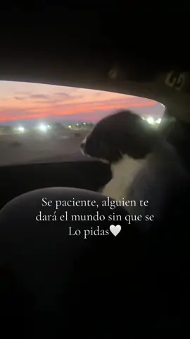 Así es🤍 #netonvega #parati #panda #relatable 