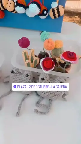 Hermosa tarde de feria ayer en el festejo del día de La Calera!! Muchas gracias a todos los que se acercaron❤❤ #crochet #tejidosartesanales #amigurumi