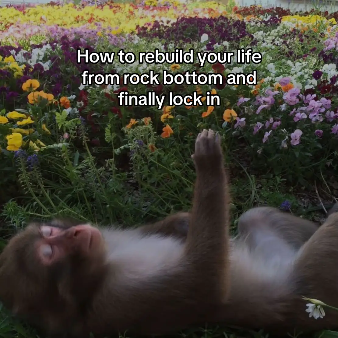 Every version of you still exists inside.  The question is, which one will you bring to life before this year ends? #visionwithin #selfgrowth #mindset #motivation #discipline