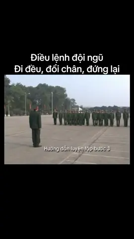 #qdndvn #dieulenhdoingu #xuhuongtiktok #xuhuong 