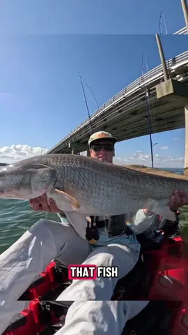 Wait For The Catch…He Caught A Massive Red Drum 😨 (Sommertime_outdoors/IG) #fishing #reddrum #monsterfish #kayakfishing #CapCut 