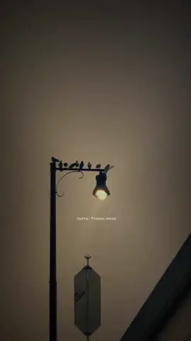 ⁨	يـا رب ♥️ #لايك #اكسبلور #بلال_الجهماني #instagood #tiktok ⁩