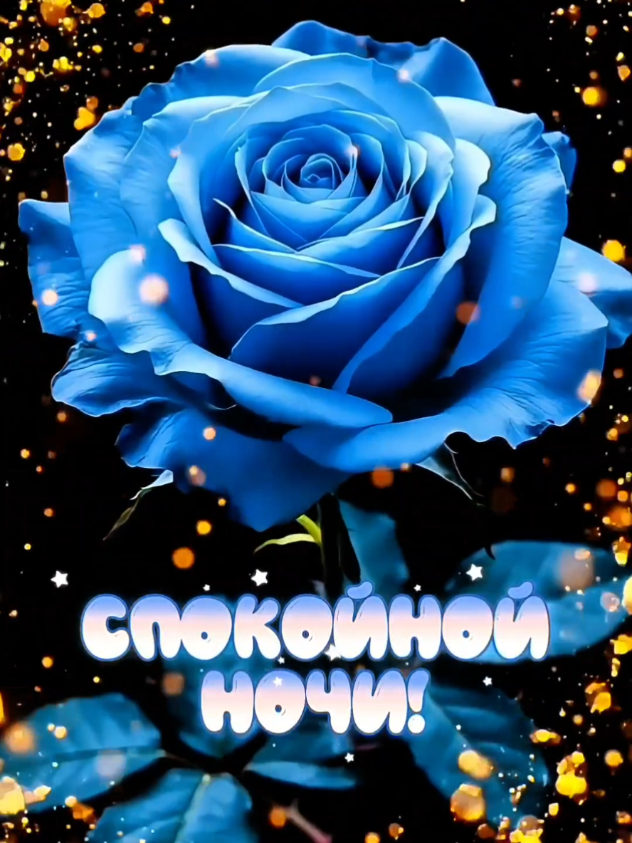 #ночь #спокойнойночи #сладкихснов #добройночи #goluboglazaia 