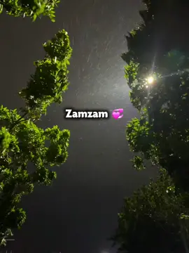Zamzam🤍#🤍 #foryou #🌼🎀 #amaan #🧡🤍💗 