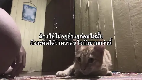อือ