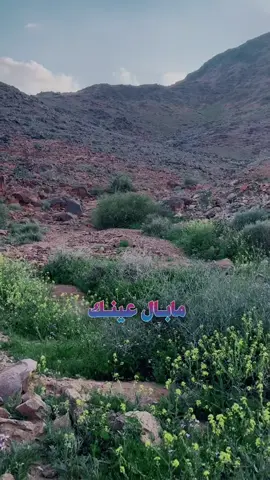 #تصويري #اكسبلور 