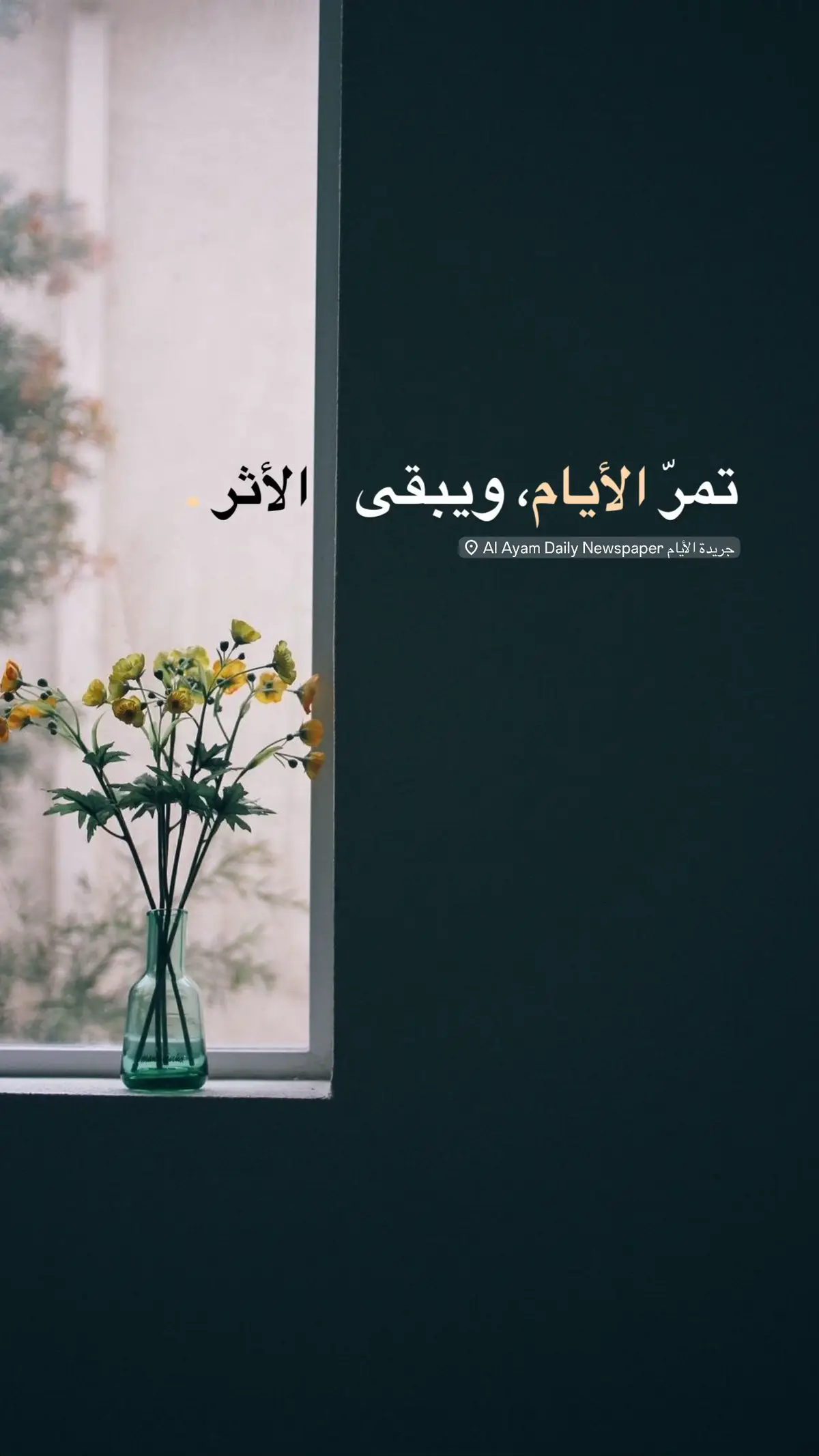 #تصويري📷 #كن_ذا_أثر #شعور #مالي_خلق_احط_هاشتاقات #الشعب_الصيني_ماله_حل😂😂 