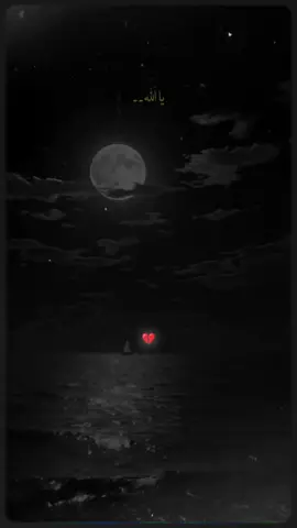 𝐏𝐥𝐞𝐚𝐬𝐞 𝐑𝐞𝐩𝐨𝐬𝐭 : : : #viral #buneer #100k #standwithkashmir #livehighlights 