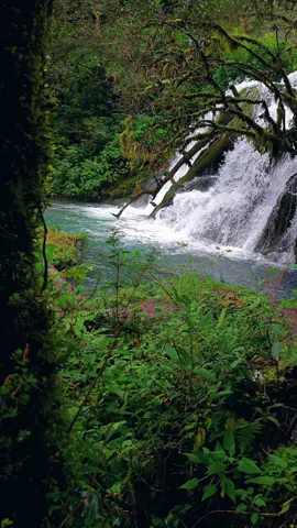 #paratiiiiiiiiiiiiiiiiiiiiiiiiiiiiiii #cardona 