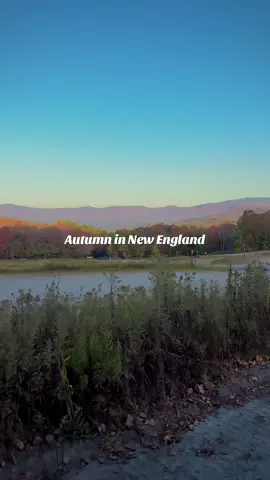 My favorite time of year #autumn #newengland #newenglandautumn #vermont #massachusetts 