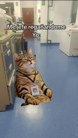 Ya casi llegamos al modo navideño #villancicos #viral  #godin #fyp #paratiiiiiiiiiiiiiiiiiiiiiiiiiiiiiii 