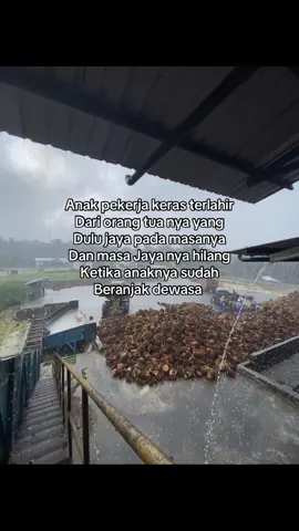 #storypabriksawit #fyp #pabriksawit #pabriksawitriau #storypabrik #kulipabrik 