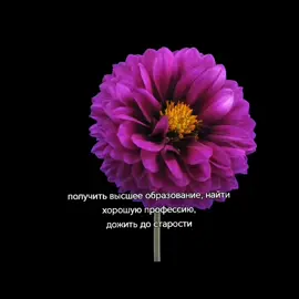 идея не моя #recommendations #03 #fypシ゚ #늙음필터 