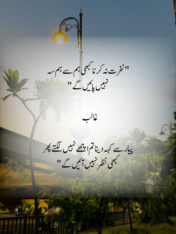 Nafrat na kerna kabi ham sa😭💯.. #ghazal  #mirzaghalib  #urduline  #tiktokpottery  #urdupottery 