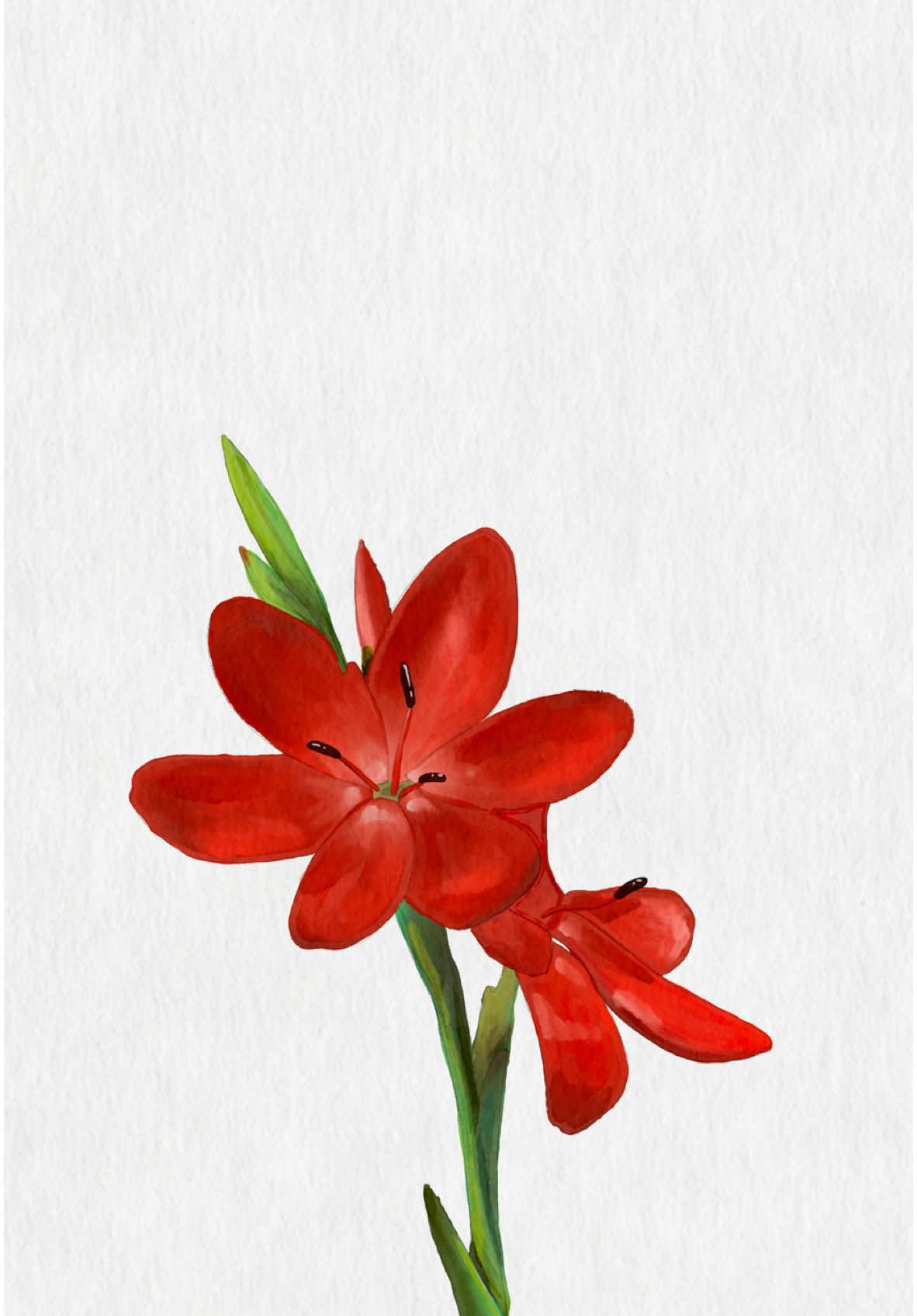 Brushes. Textures. Palettes. 🎨 All in one Artist Bundle made for you. 💬 Drop tutorial requests below 👇 👉 Link in bio to download . #procreate #procreatebrush #procreatetutorial #procreatehacks #digitalpainting #digitalart #digitalillustration  #digitalpaintingtutorial  #procreate101 #procreatetips  #digitalwatercolor #procreatewatercolor  #digitaloilpainting #procreateoilpainting #procreategouache #digitalgouachepainting #procreateblendingmodes #procreatecourse #procreatedrawing 