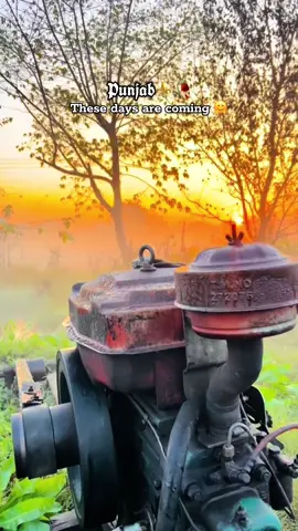 Winter is coming 🤗|| Puna in next few days 😍|| winter in Punjab ❤️#forupage #viral_video #wintervibes #پنڈاں_والے👑 #پنجاب 