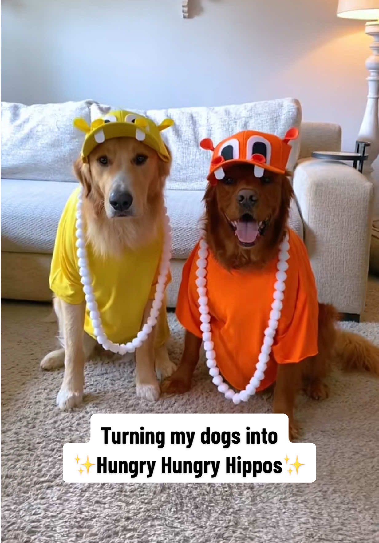 ‘Bout to whip out this game and play it! 🦛⚪️ Does anyone remember this game? #halloweencostume #dogcostume #halloween #halloweenideas #doghalloween 