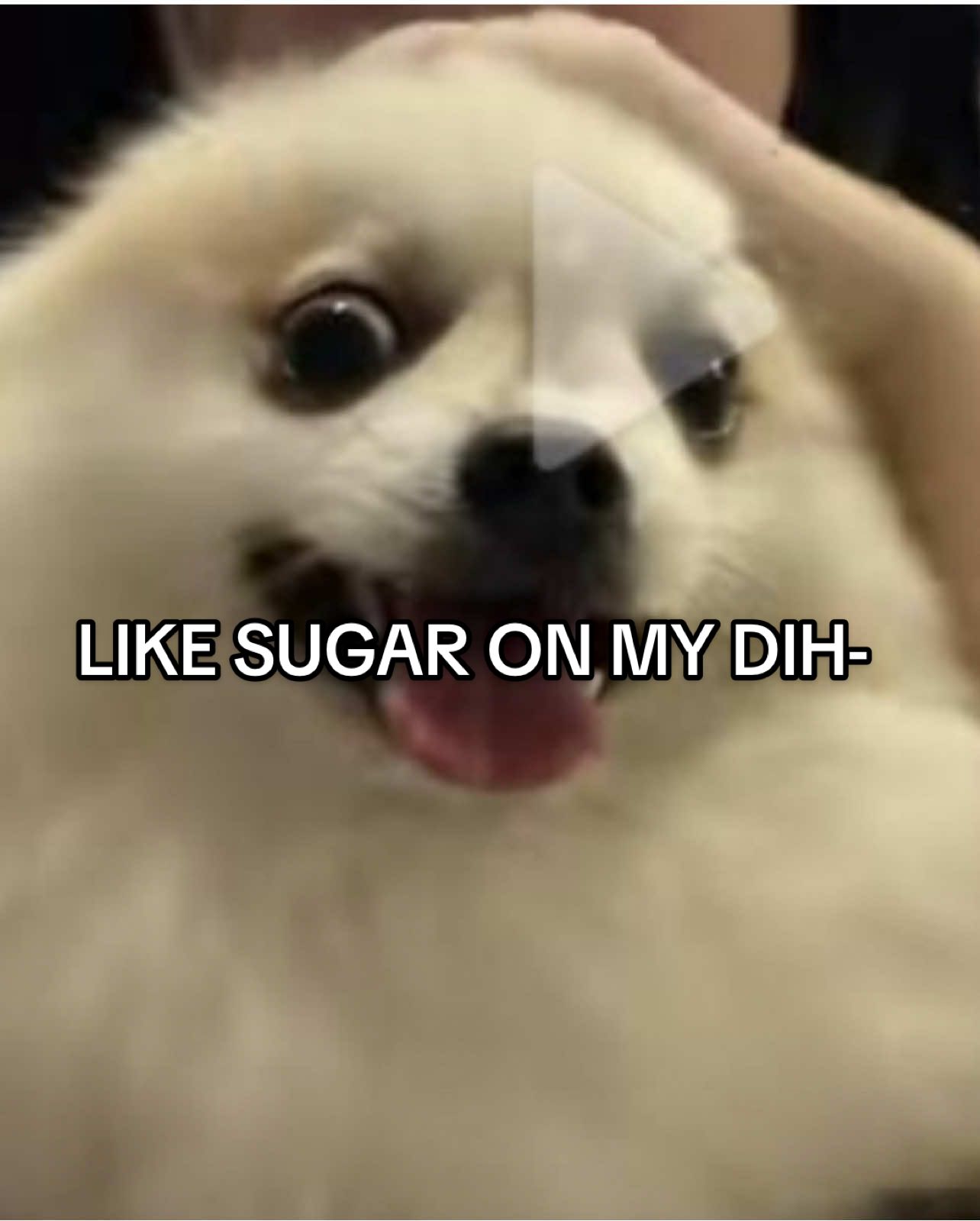 Sugar on my tongue 🌹🌹 (ตอนนี้เจนท์ไป gamble ก่อน อิอิ คืออยู่หม่าเก๋า) #dance #dancetrend2025 #dancechallenge #viraldance #trendingvideo 