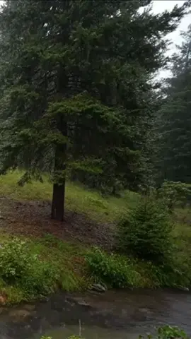 #ايطاليا🇮🇹_مغرب🇲🇦 