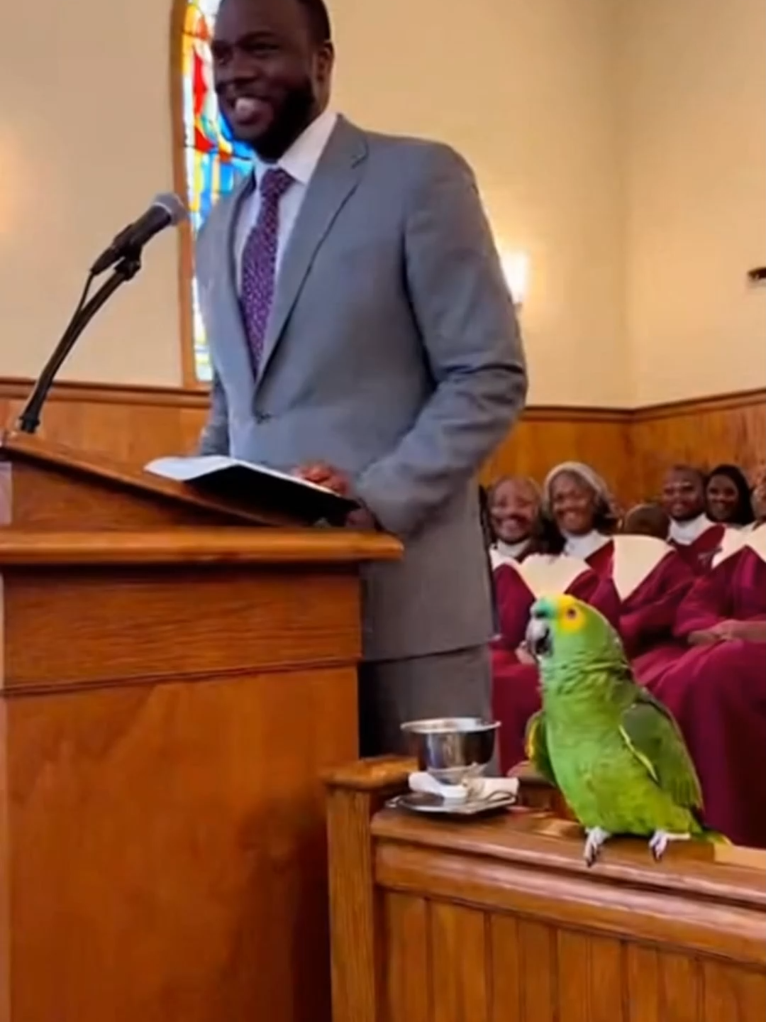 You’re Just Trying to Live, and the Parrot Got Jokes