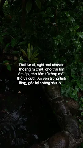 …#tamtrang #story 