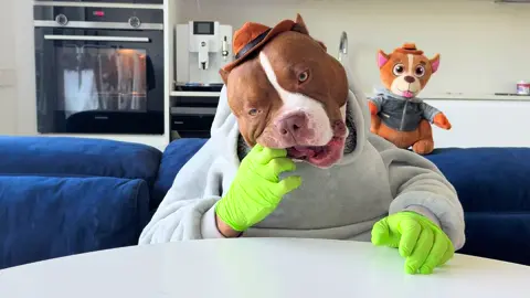 Pistachios are so overrated 👇