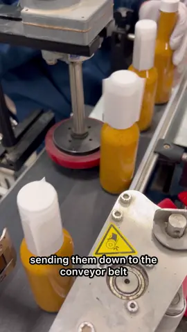 This is bull kelp - and we use it as the main ingredient in our hot sauce, pickles, seasonings, and mor. 