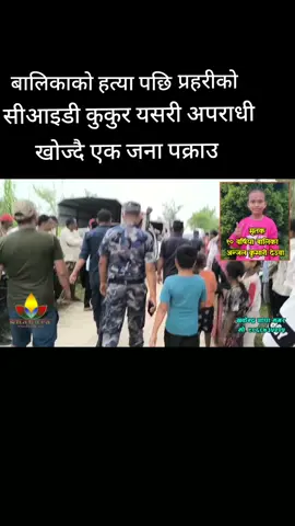 प्रहरीको सीआइडी कुकुर यसरी अपराधी खोज्दै एक जना पक्राउ #foryoupage #🙏🙏🙏🙏🙏all 