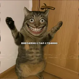 Инструкция №888 | Скинволкер #аномалии #инструкции #страшилка 