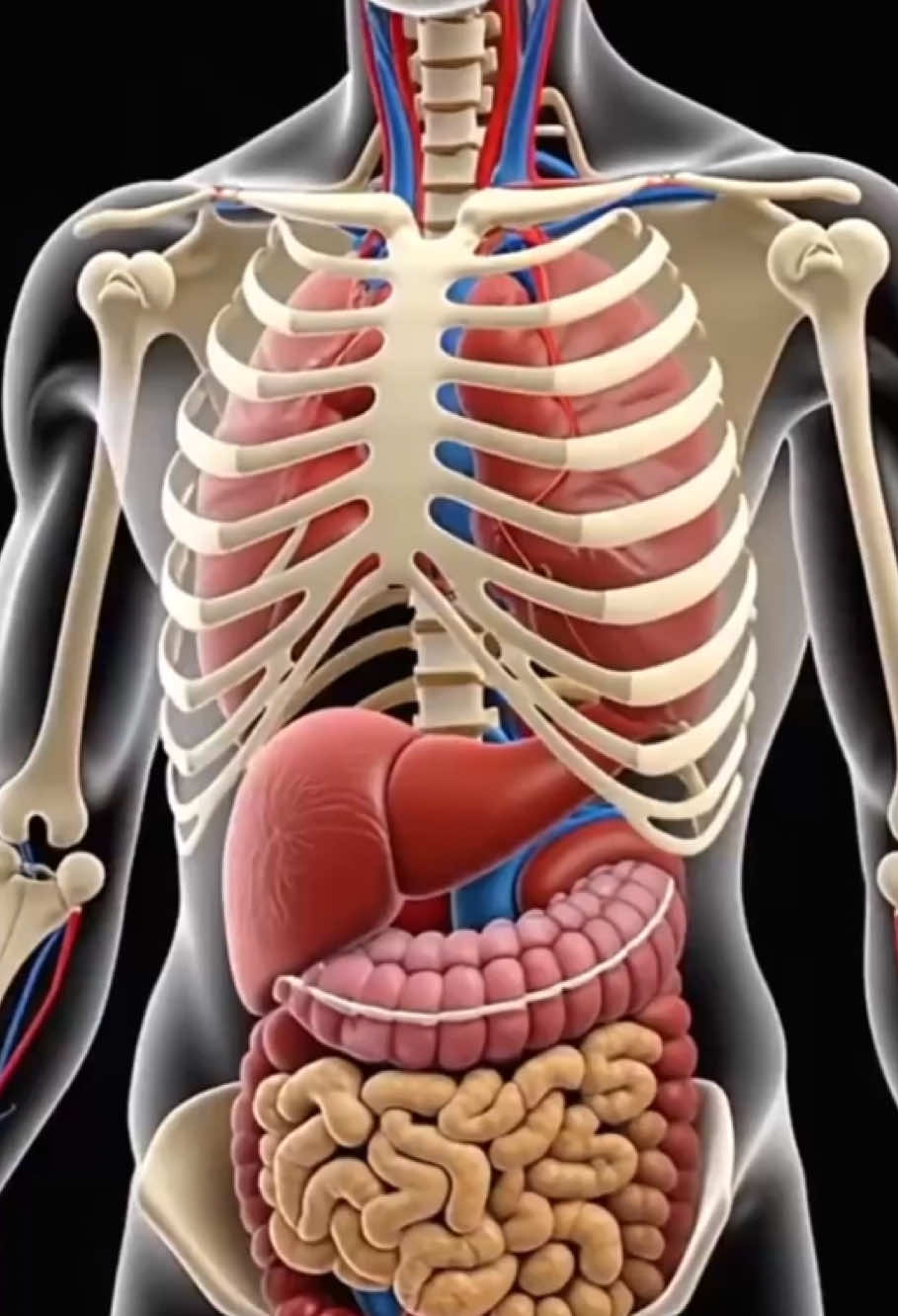 #tiktokshop #fyp #tea #kidneyfailure 