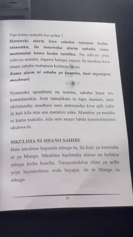 #amanidimile 