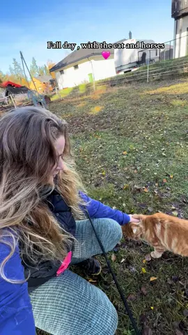 #xybca #viral #fyp #horse #foryou 