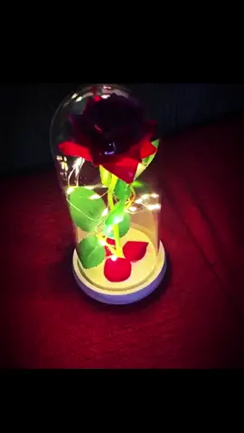Luminária Cúpula Bela e a Fera! #tiktokshop 