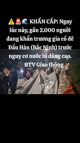 ⚠️🚨🌊 KHẨN CẤP: Ngay lúc này, gần 2.000 người đang khẩn trương gia cố đê Đẩu Hàn (Bắc Ninh) trước nguy cơ nước lũ dâng cao. --- 🎥 BTV Giao thông