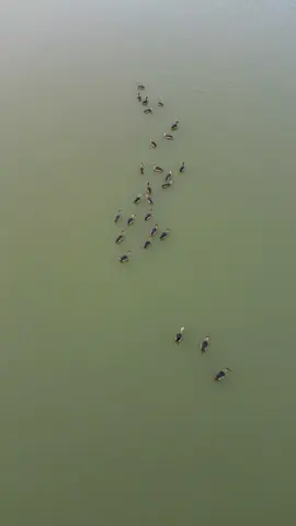 ভিডিও ভালো লাগলে আইডি থেকে ঘুরে আসুন 