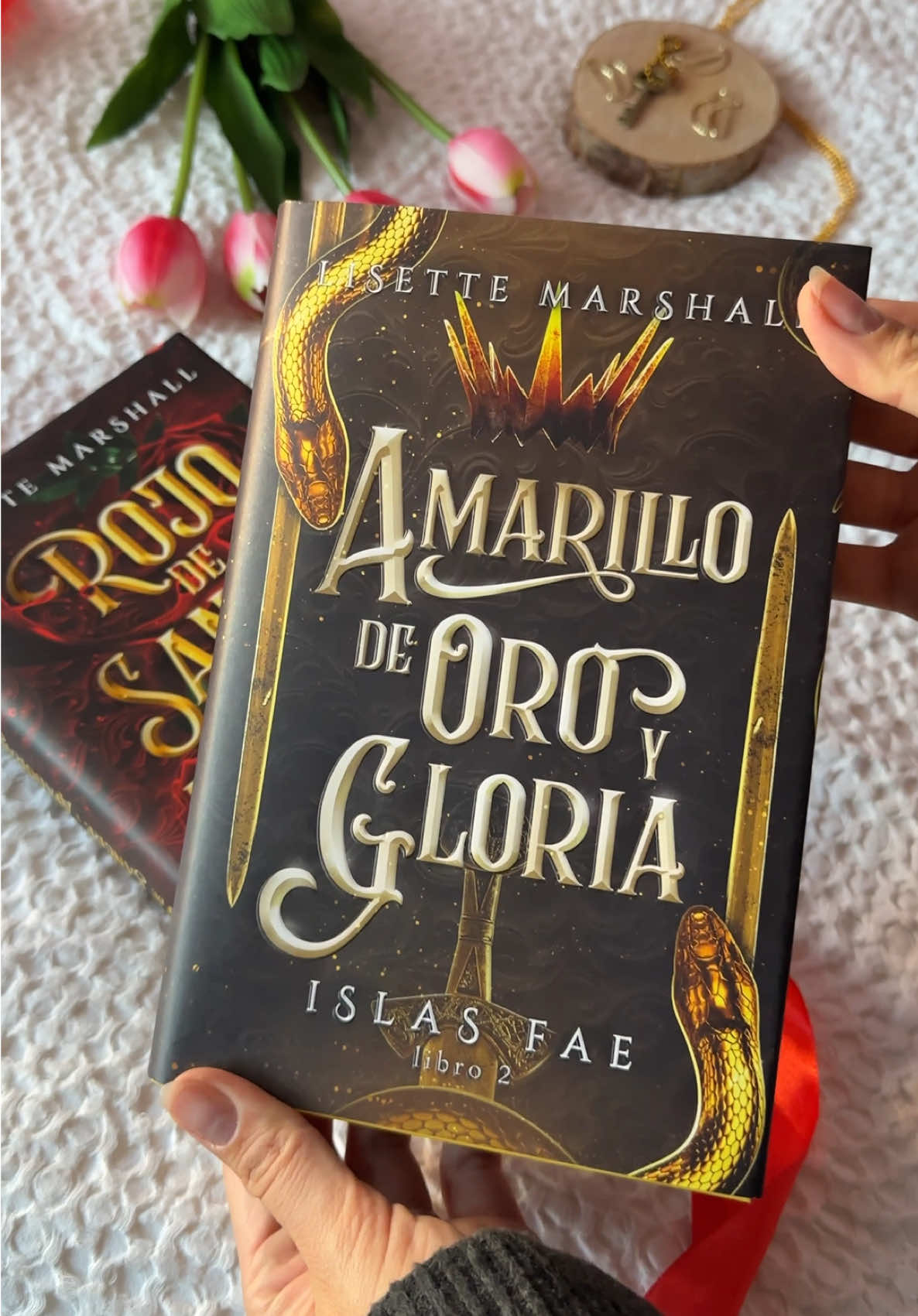 ✨YA tenemos el segundo🍁 @TBReditorial  #librostiktok #enemiestolovers #booklover #villian #fantasybooktok 
