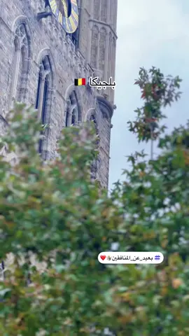 #بلجيكا🇧🇪_بروكسيل_المانيا_فرنسا_هولندا #مهاجرين #fyp #اليوناني #f 