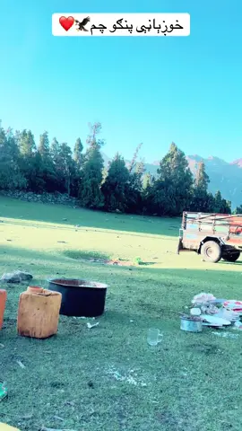 خوږېاڼېوال ❤️🦅🥷#fyp #foryou #foryoupage❤️❤️ 