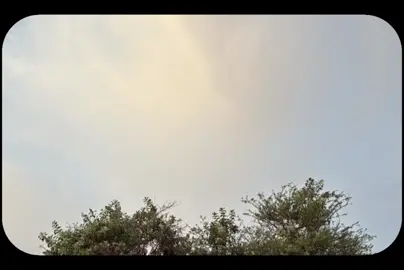 #قران_كريم #قران #علي_جابر #تلاوة #اكتوبر 