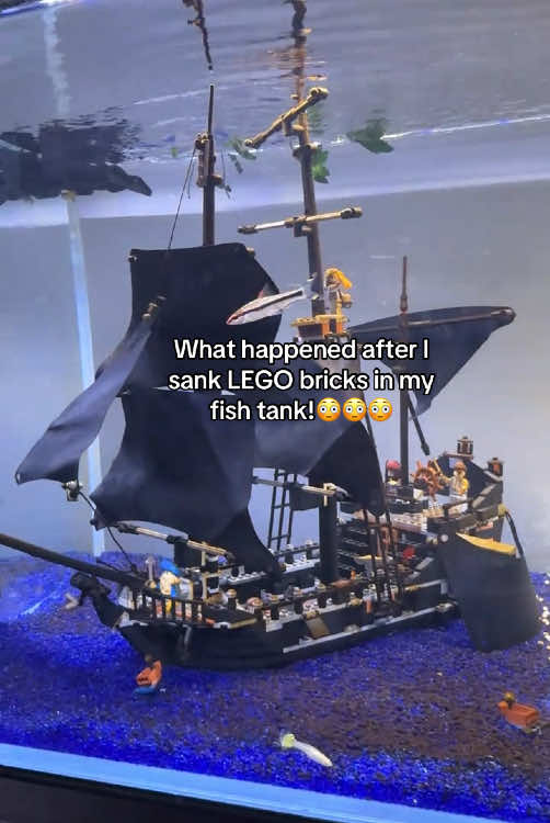 #lego#fyp #legocollection #legoset #legofun #legomeme #legotiktok #funny 