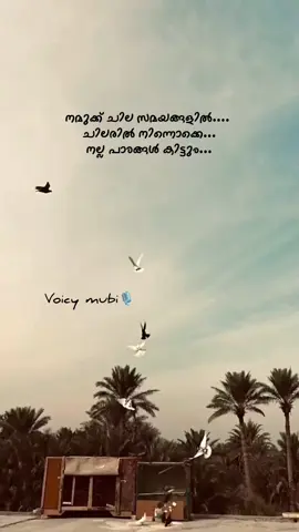 ######❤️💙❤️ 