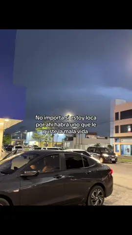 #contenido 