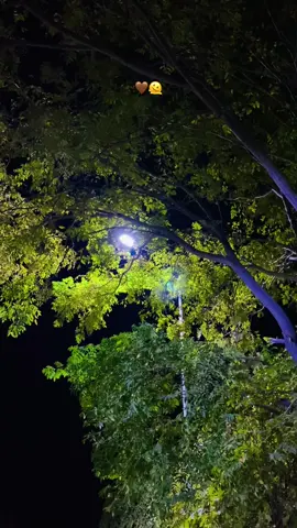 Artık ağlamam 🤎🫠…#fypシ゚ #viral #tiktok #selwa🦋 #foryou 