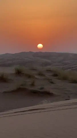 #explore #هاشتاق #تصميمي #اقتباسات #هاشتاقات_تيك_توك_العرب 