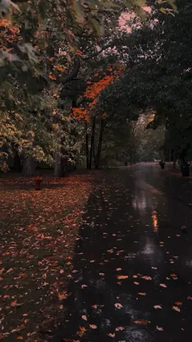 quiet walk with October rain ☔️🍂 #fyp #ambient #autumn #rain #memories 